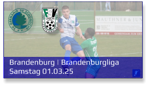 Brandenburg | Brandenburgliga	 Samstag 01.03.25